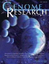 Comparison of the human genome with genomes of other animals helps to identify new functional repetitive structures in proteins